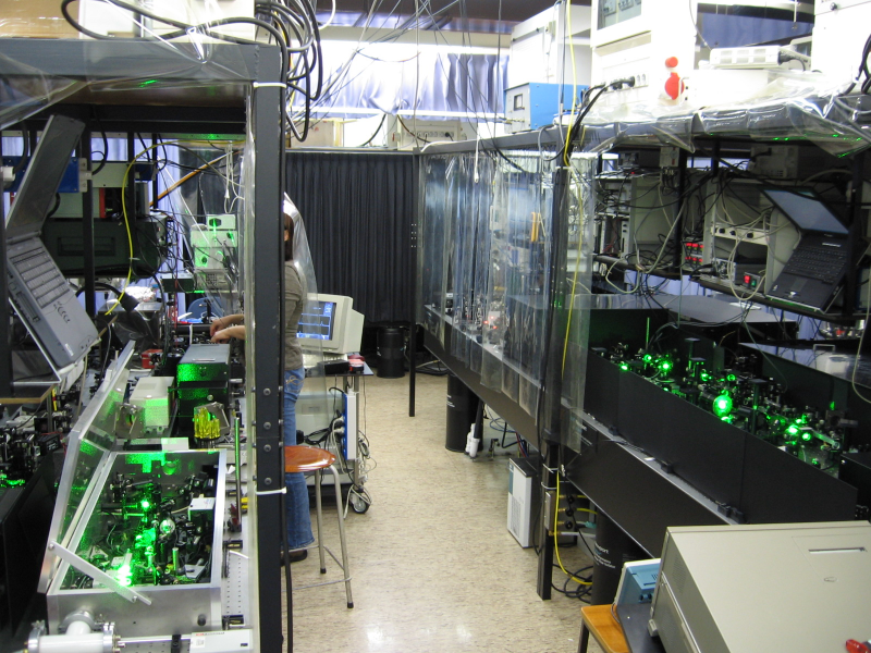 lab